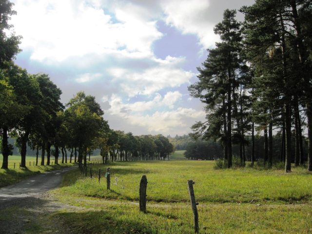 32728351-diaporama