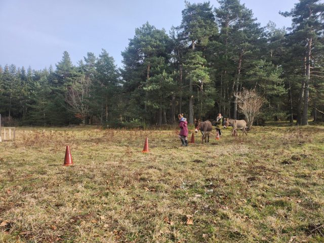 Chasse au trésor avec un âne_Saint Julien d’Intres
