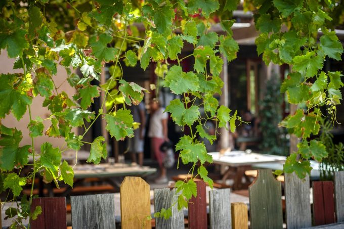 Le Restaurant d’Ardelaine