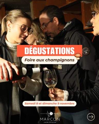 Marché aux vins et ateliers dégustations_Saint-Bonnet-le-Froid