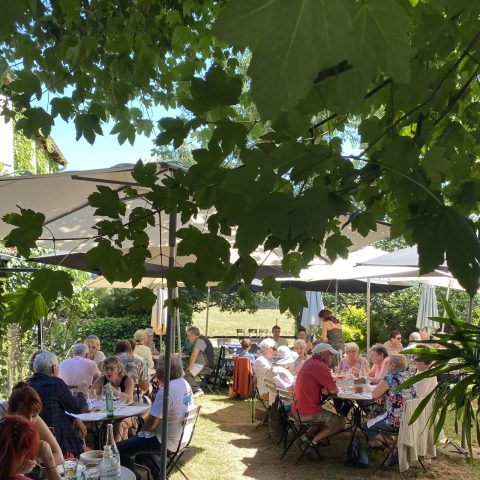 L&rsquo;Arbre vagabond