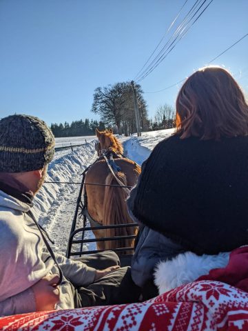 Dans tes pas ! balade en voiture attelée._Saint-Agrève