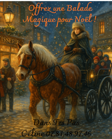 Balade magique en calèche pour Noël_Saint-Agrève