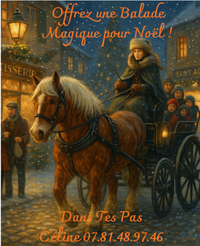 Balade magique en calèche pour Noël_Saint-Agrève