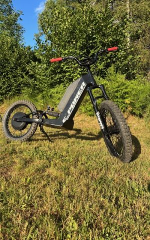 Trottinette électrique tout terrain avec Fun Trott_Saint-Jeures