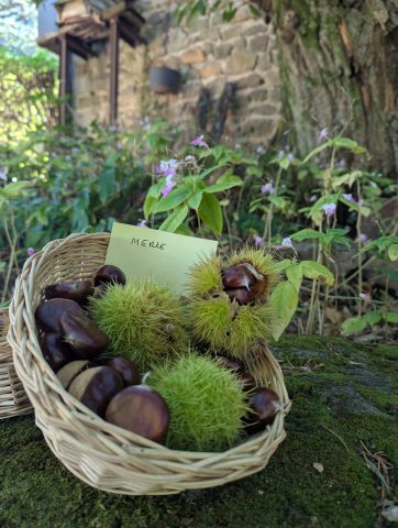 La ferme du châtaignier_Lamastre
