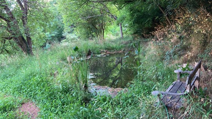 La mare, pour votre plaisir 3000 m² de verdure autour de la maison en terrasses
