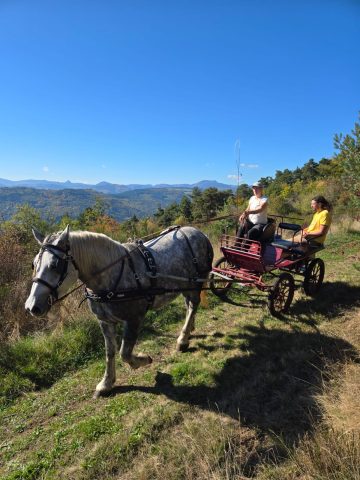 Randonnée avec les Ânes des Monts d&rsquo;Ardèche_Saint Julien d&rsquo;Intres