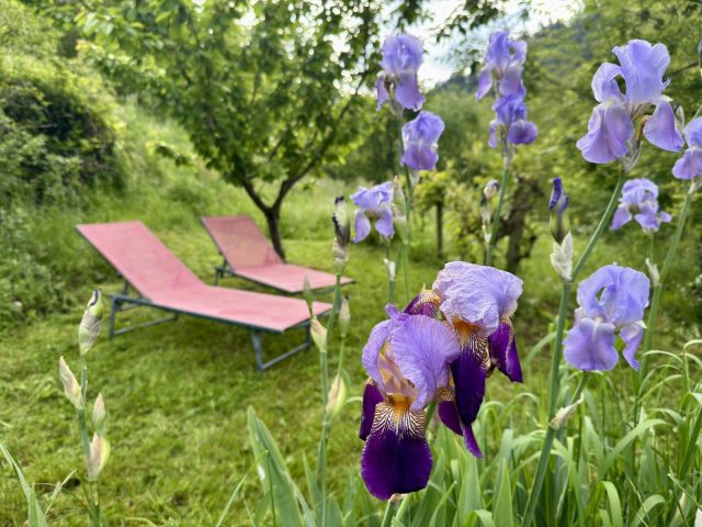 Coin repos au jardin