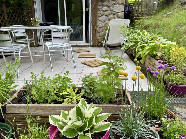 Terrasse fleurie
