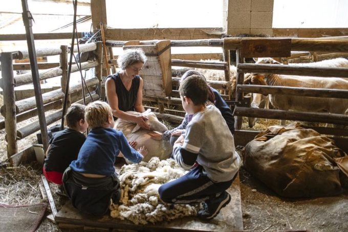 Démonstration de tonte