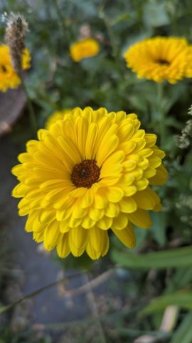 Les Jardins de Badel