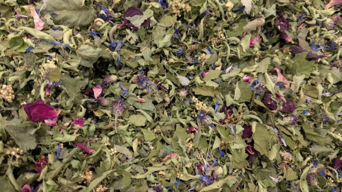 Les Mardis Plantes & Santé – Les Échappées Estivales