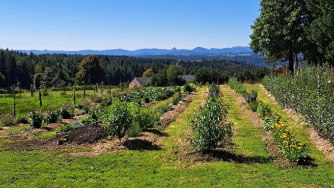Les Mardis Plantes & Santé – Les Échappées Estivales