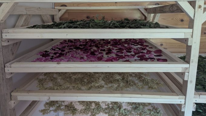 Les Mardis Plantes & Santé – Les Échappées Estivales