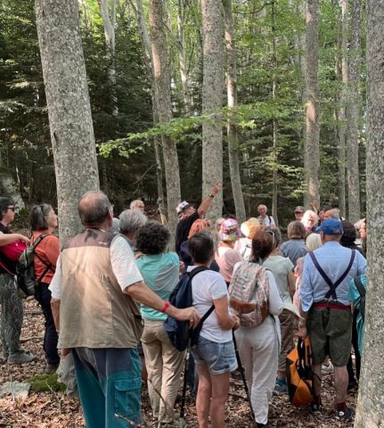 Lectures sous l&rsquo;arbre_Mazet-Saint-Voy