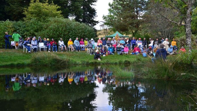 Lectures sous l&rsquo;arbre