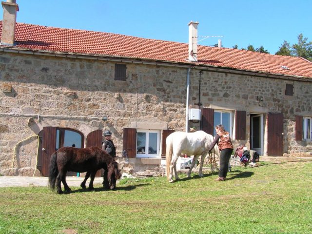 Poney club Le Chevalier d’Agrévois