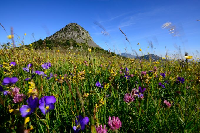 Mont Gerbier de Jonc