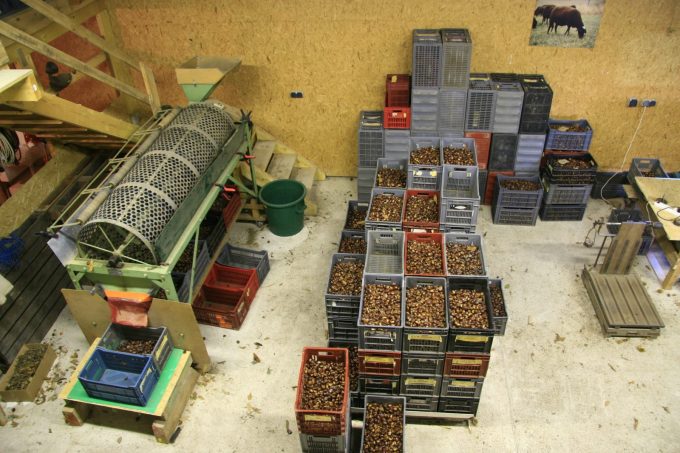 Ferme de Pisse Renard