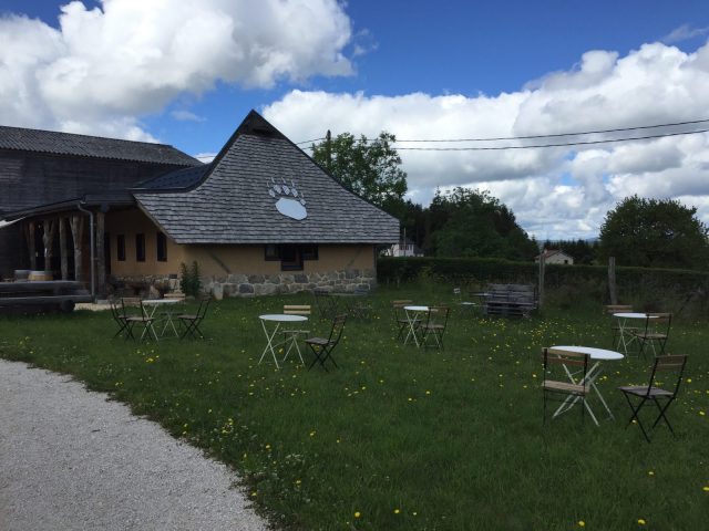 Terrasse paquerettes